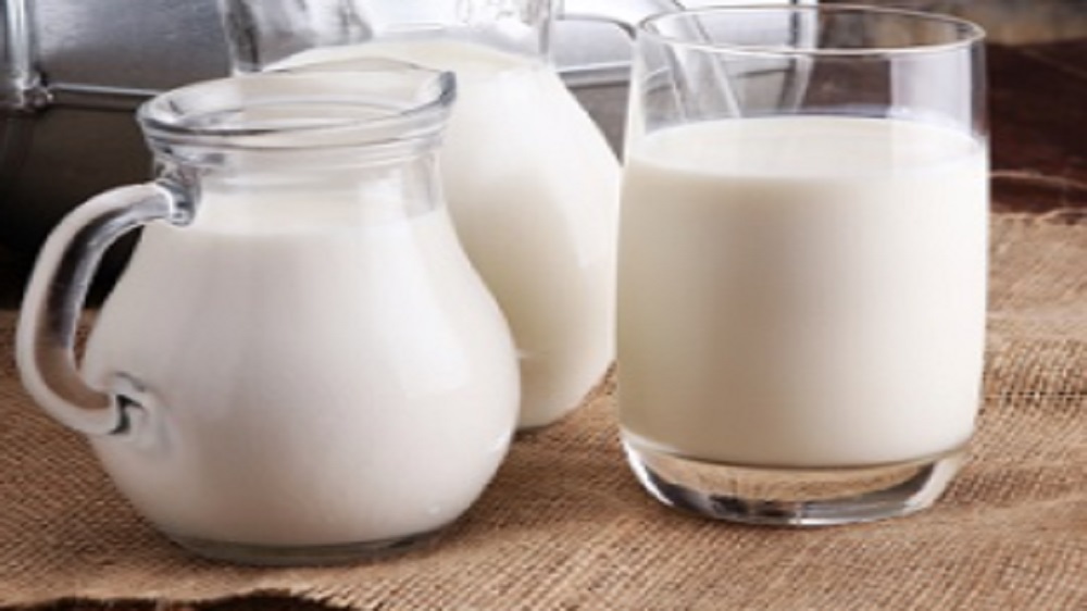 Susu Biasa