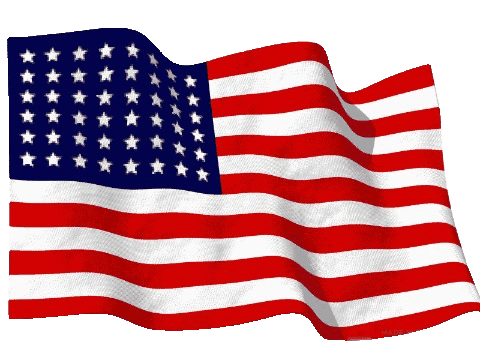 USA Flag GIF